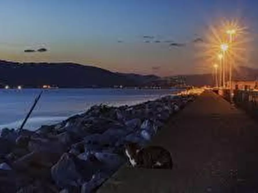 Immagine 20 di Villa in vendita  a Carrara