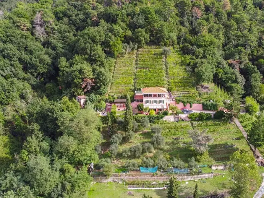 Immagine 27 di Villa in vendita  a Carrara