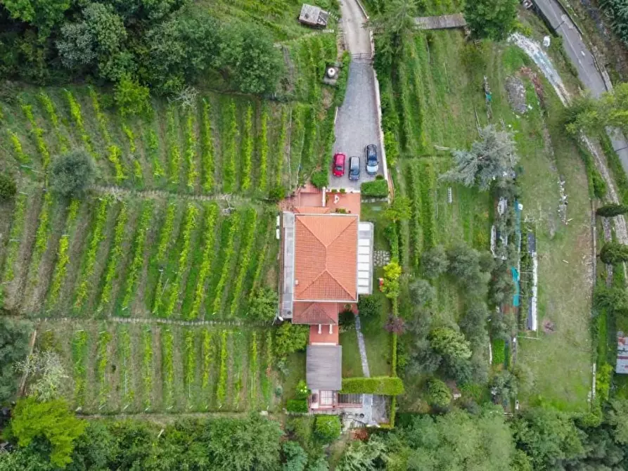 Immagine 21 di Villa in vendita  a Carrara