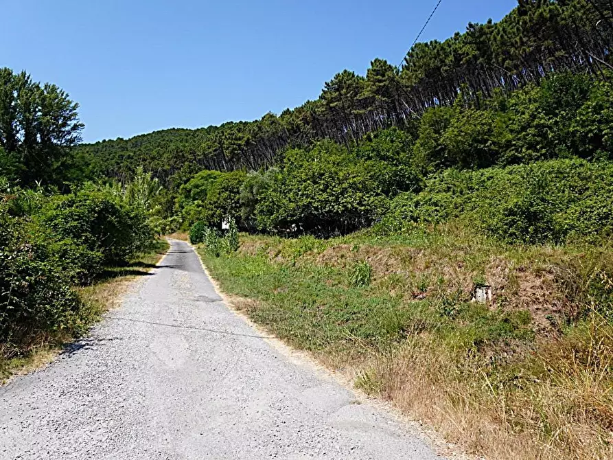 Immagine 17 di Terratetto in vendita  a Capannori