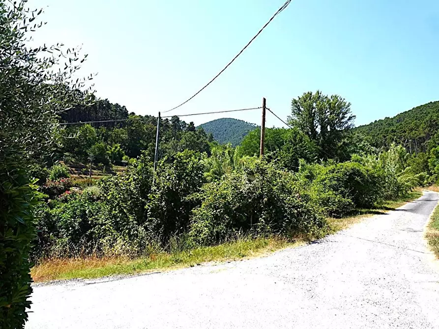 Immagine 16 di Terratetto in vendita  a Capannori