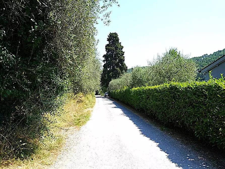 Immagine 14 di Terratetto in vendita  a Capannori