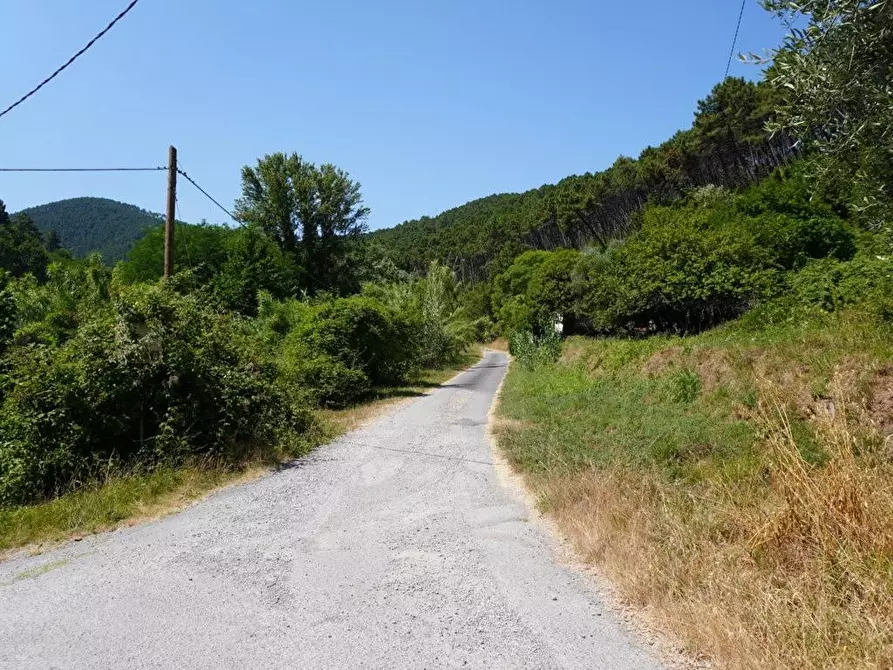 Immagine 15 di Terratetto in vendita  a Capannori