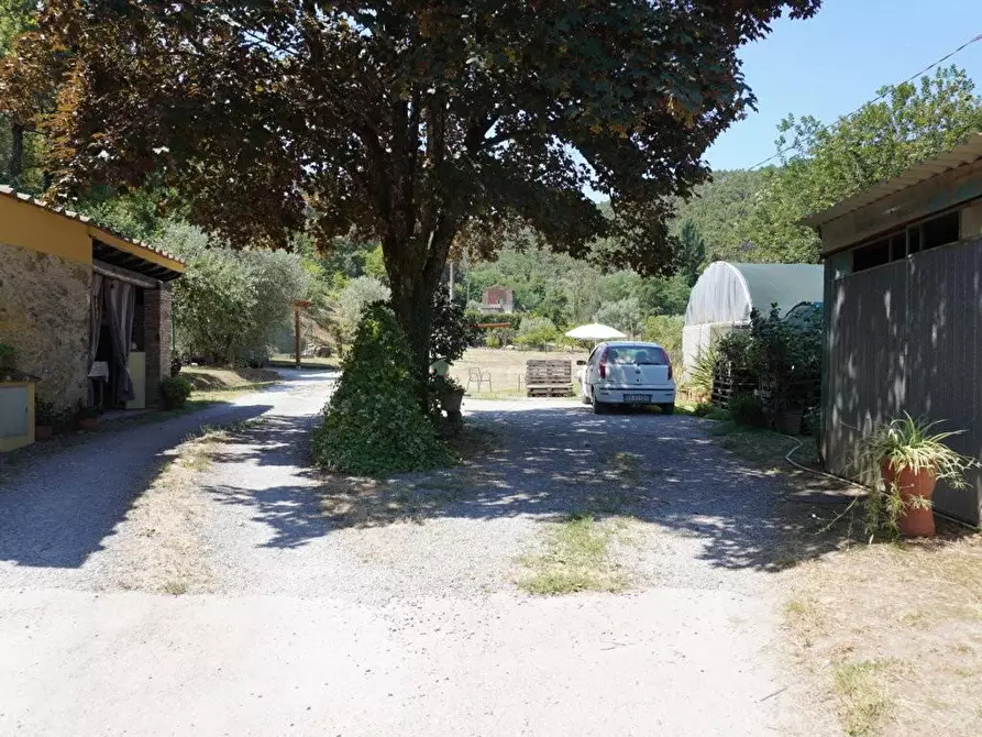 Immagine 18 di Terratetto in vendita  a Capannori