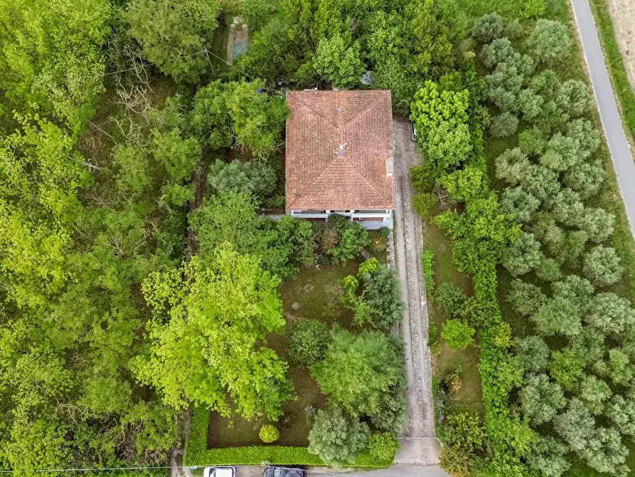 Immagine 68 di Villa in vendita  a San Giuliano Terme