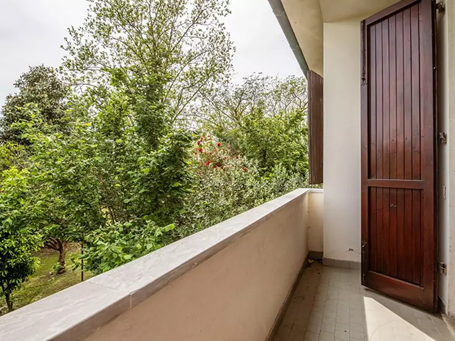 Immagine 16 di Villa in vendita  a San Giuliano Terme