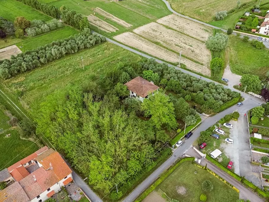 Immagine 65 di Villa in vendita  a San Giuliano Terme