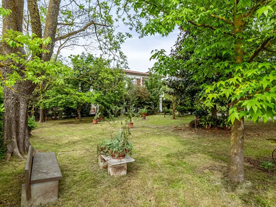 Immagine 41 di Villa in vendita  a San Giuliano Terme