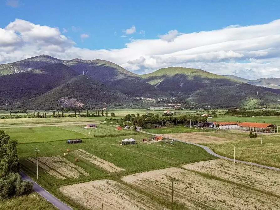 Immagine 58 di Villa in vendita  a San Giuliano Terme