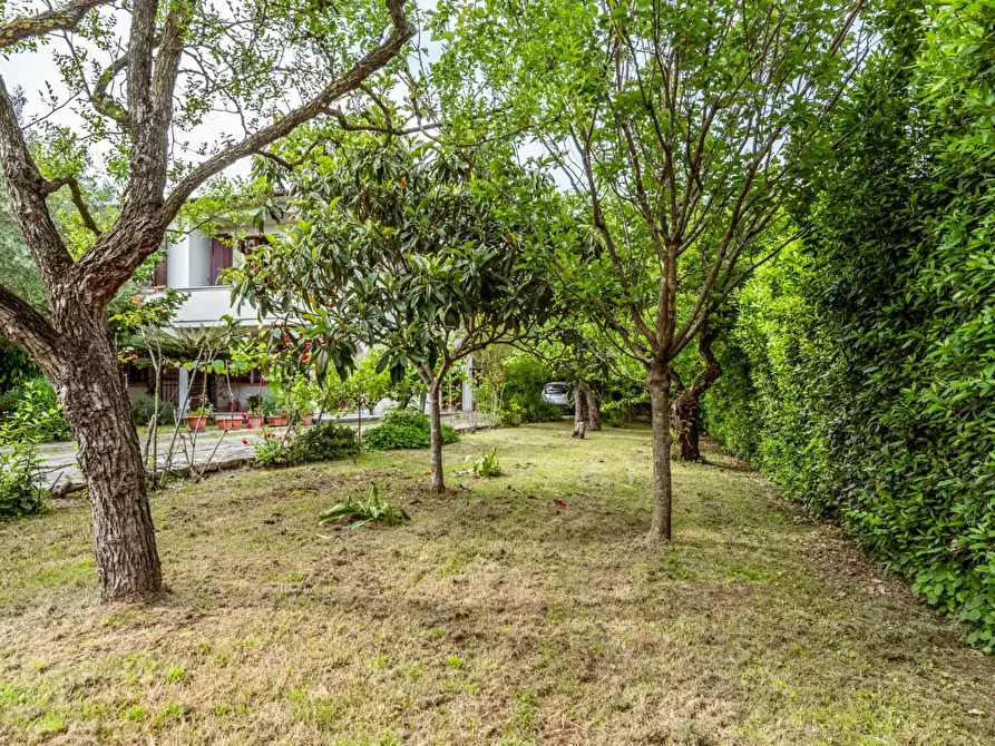 Immagine 46 di Villa in vendita  a San Giuliano Terme