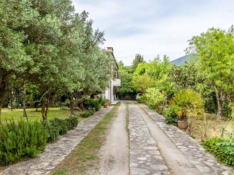 Immagine 50 di Villa in vendita  a San Giuliano Terme