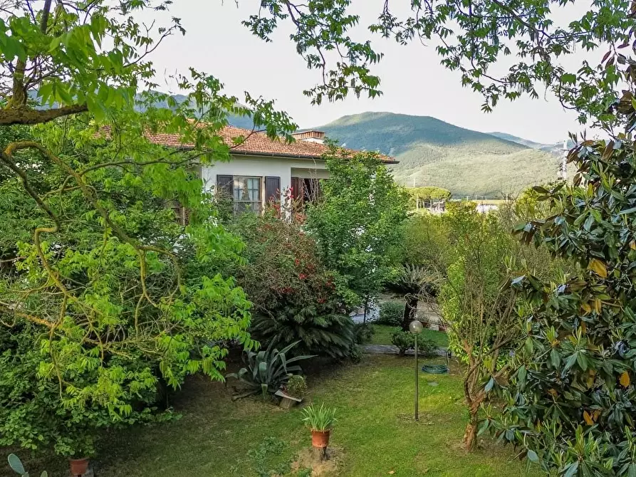 Immagine 73 di Villa in vendita  a San Giuliano Terme