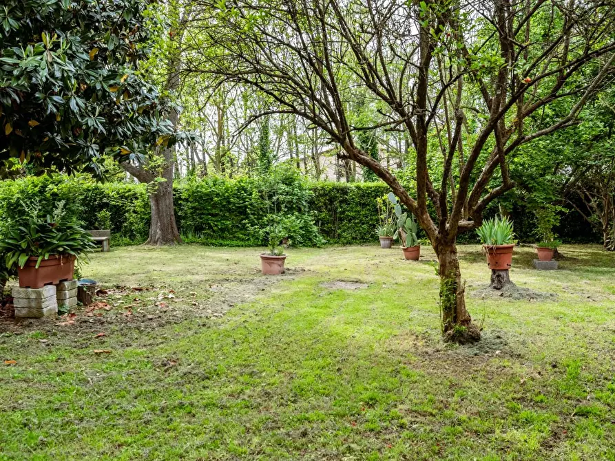 Immagine 48 di Villa in vendita  a San Giuliano Terme