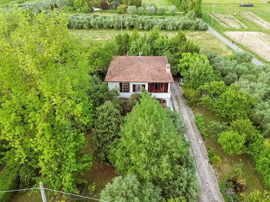 Immagine 69 di Villa in vendita  a San Giuliano Terme