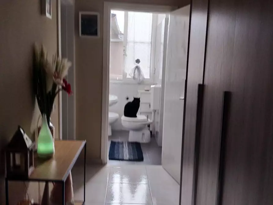 Immagine 11 di Appartamento in vendita  a Livorno