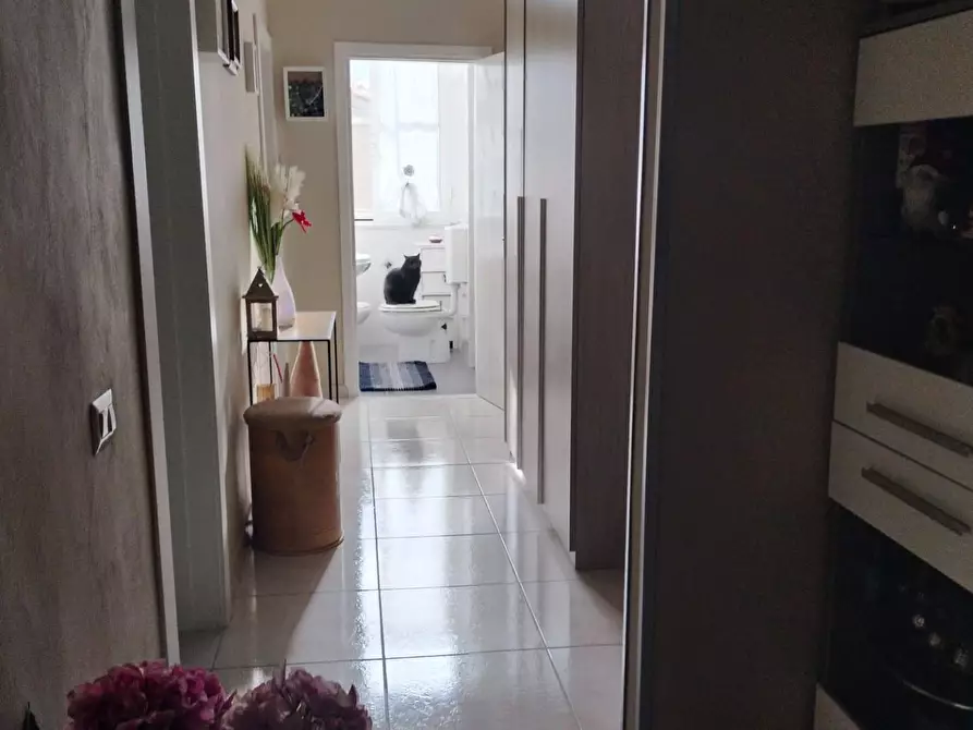 Immagine 10 di Appartamento in vendita  a Livorno