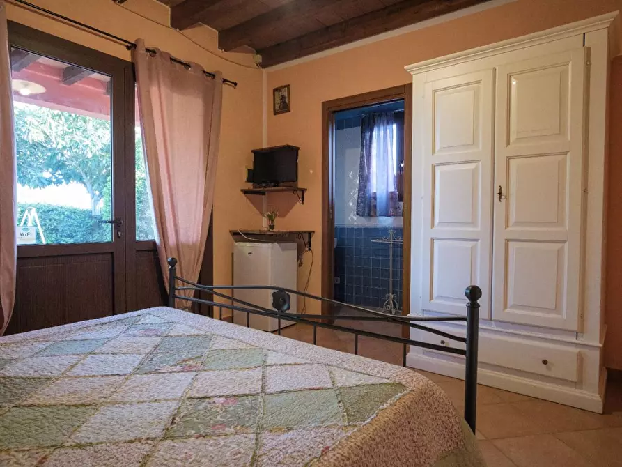 Immagine 5 di Agriturismo in vendita  a Grosseto