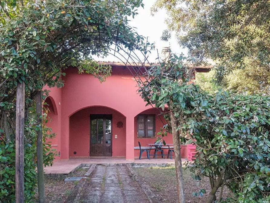 Immagine 1 di Agriturismo in vendita  a Grosseto