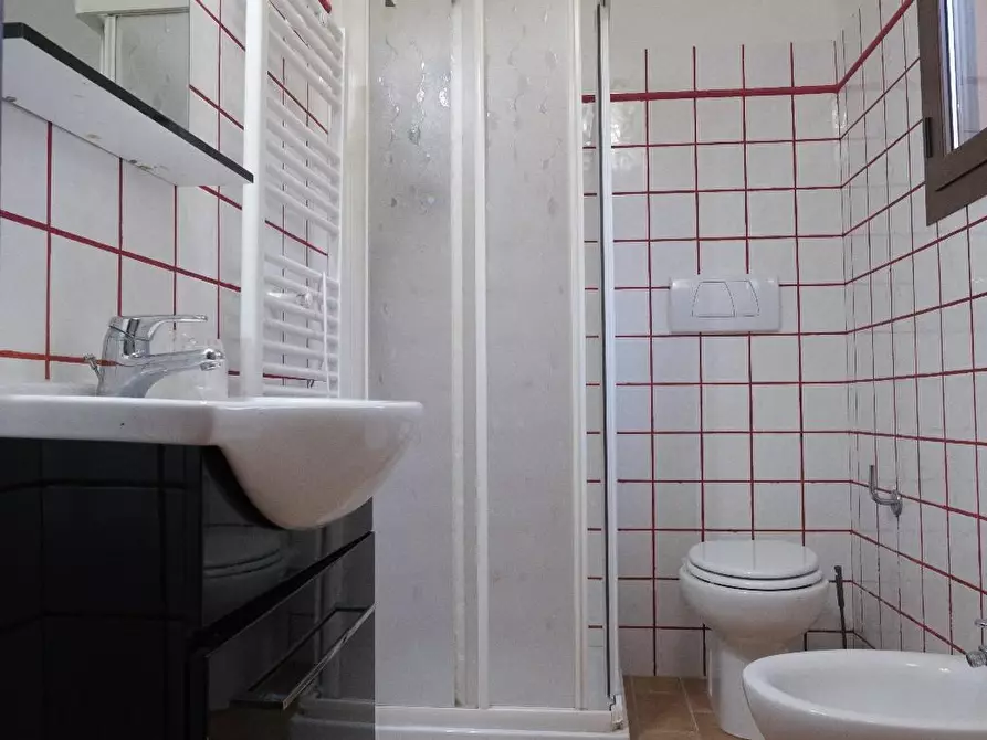 Immagine 11 di Agriturismo in vendita  a Grosseto