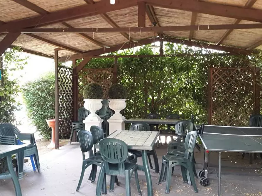 Immagine 16 di Agriturismo in vendita  a Grosseto