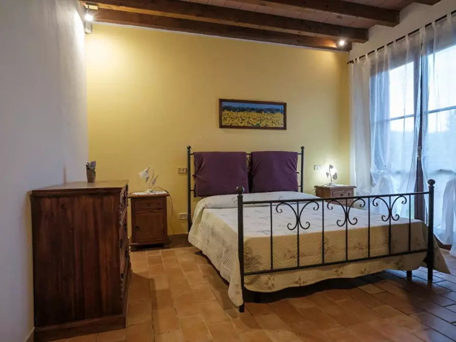 Immagine 4 di Agriturismo in vendita  a Grosseto