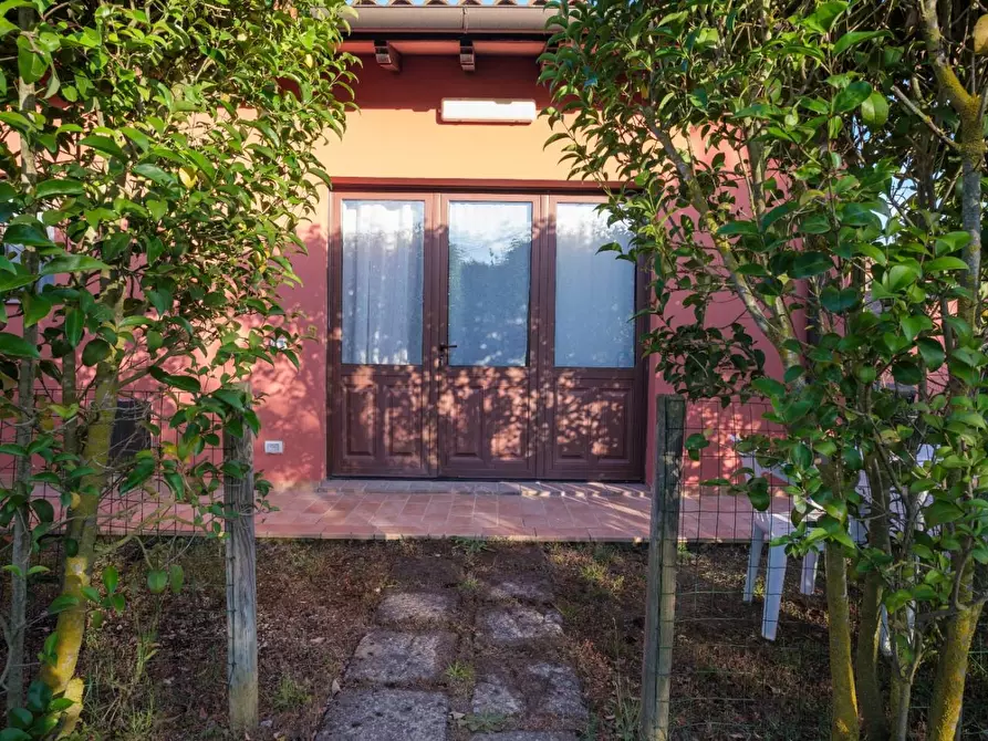 Immagine 3 di Agriturismo in vendita  a Grosseto