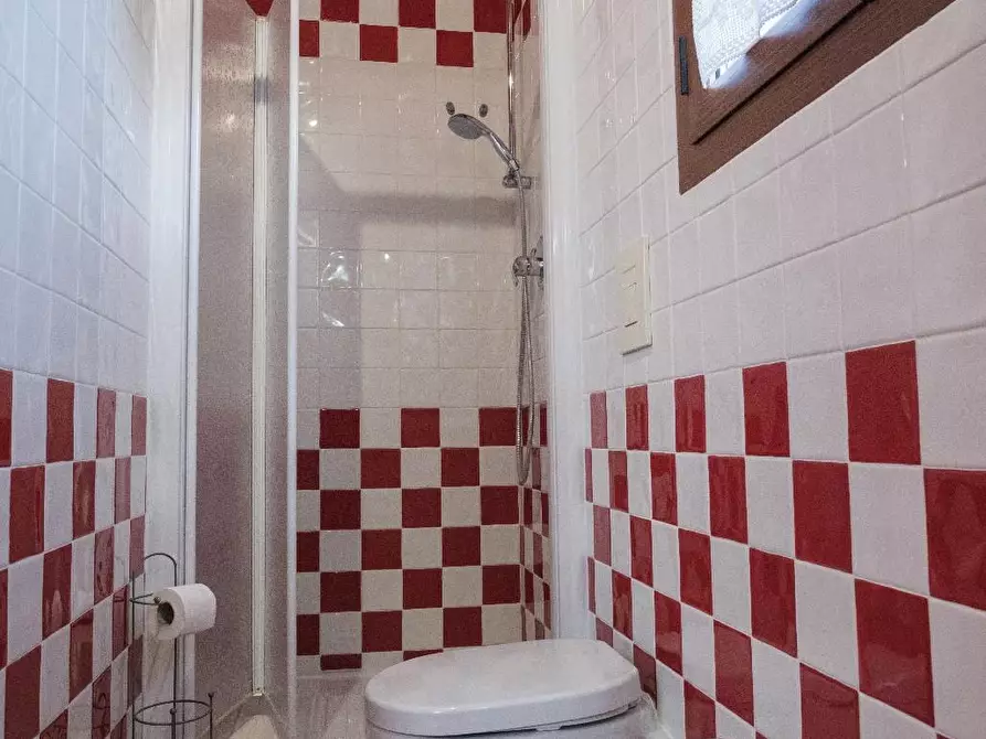 Immagine 9 di Agriturismo in vendita  a Grosseto