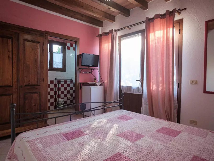 Immagine 8 di Agriturismo in vendita  a Grosseto