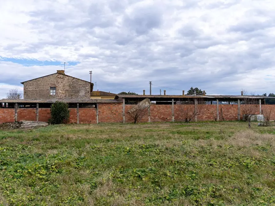 Immagine 23 di Casa colonica in vendita  a Empoli