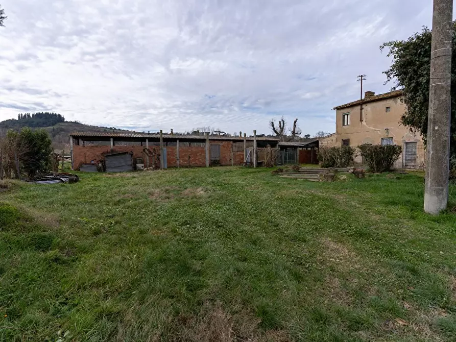 Immagine 20 di Casa colonica in vendita  a Empoli