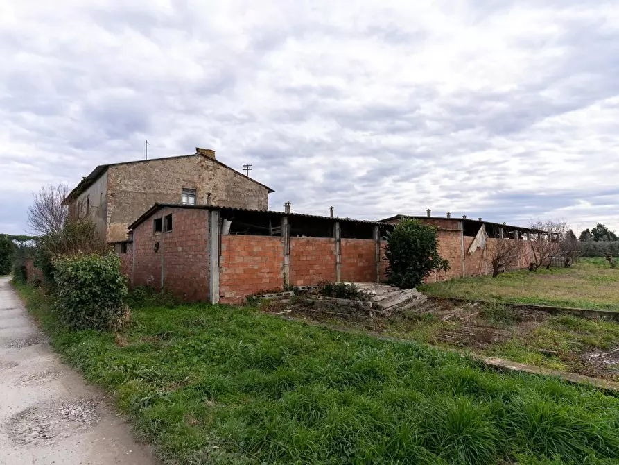 Immagine 22 di Casa colonica in vendita  a Empoli