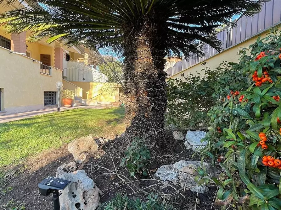 Immagine 12 di Casa trifamiliare in vendita  a Fiumicino