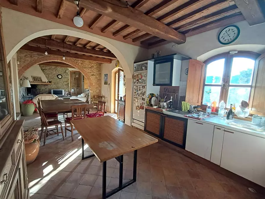 Immagine 12 di Rustico / casale in vendita  a Buti