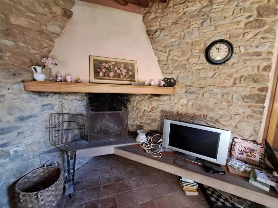 Immagine 7 di Rustico / casale in vendita  a Buti