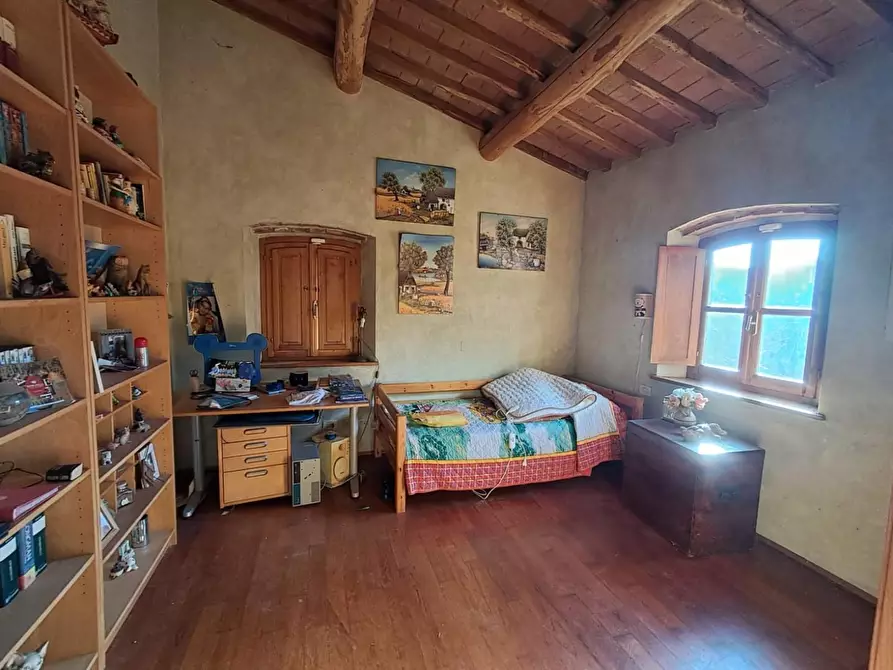 Immagine 20 di Rustico / casale in vendita  a Buti