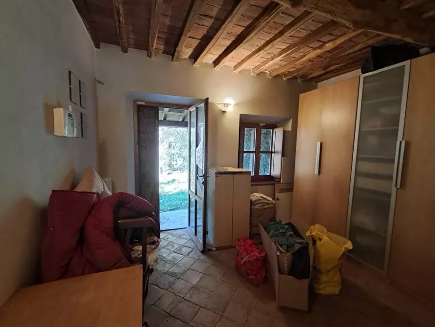 Immagine 19 di Rustico / casale in vendita  a Buti