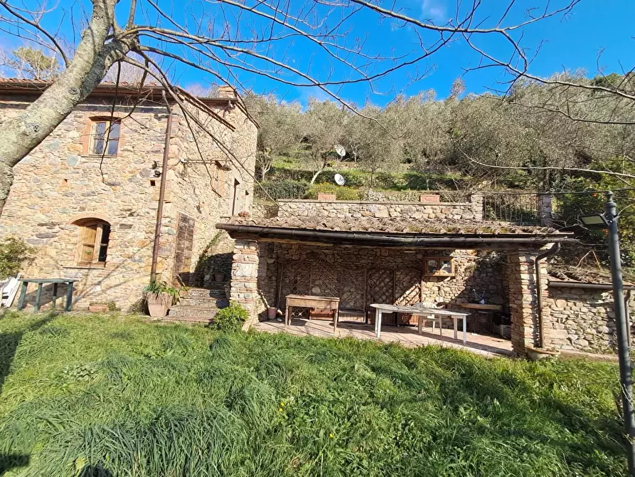 Immagine 3 di Rustico / casale in vendita  a Buti