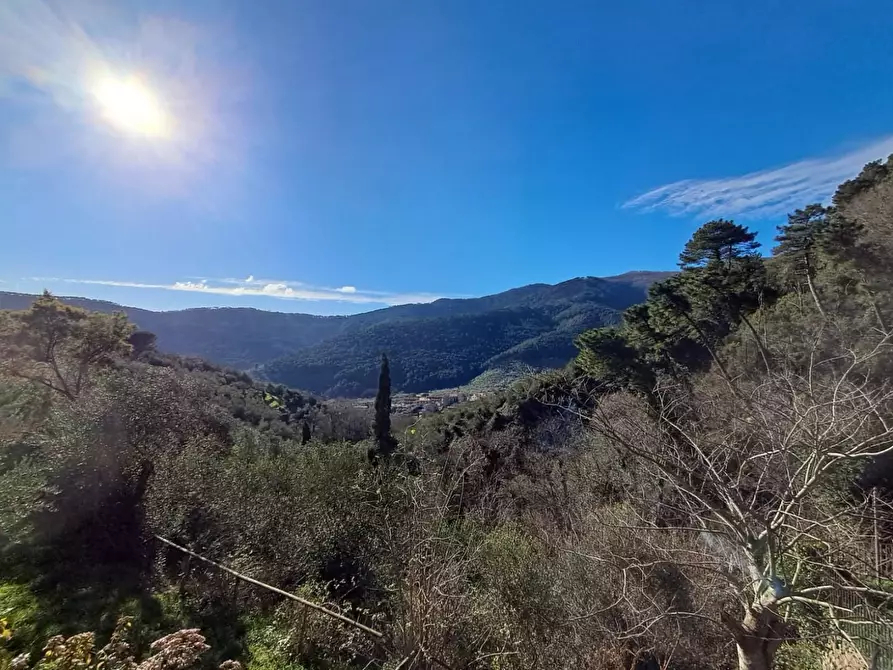 Immagine 31 di Rustico / casale in vendita  a Buti