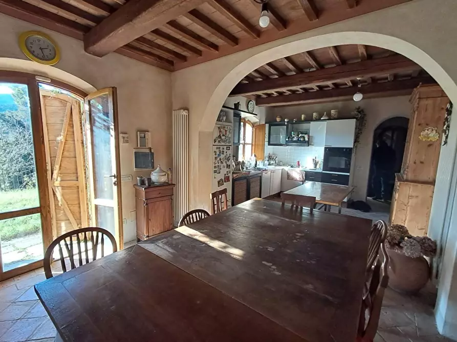 Immagine 8 di Rustico / casale in vendita  a Buti