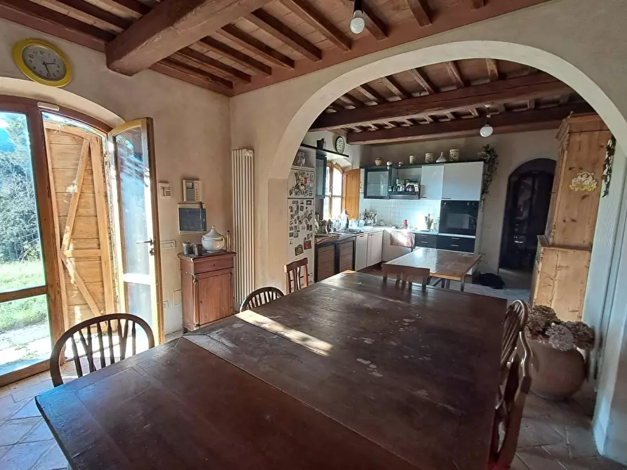 Immagine 13 di Rustico / casale in vendita  a Buti