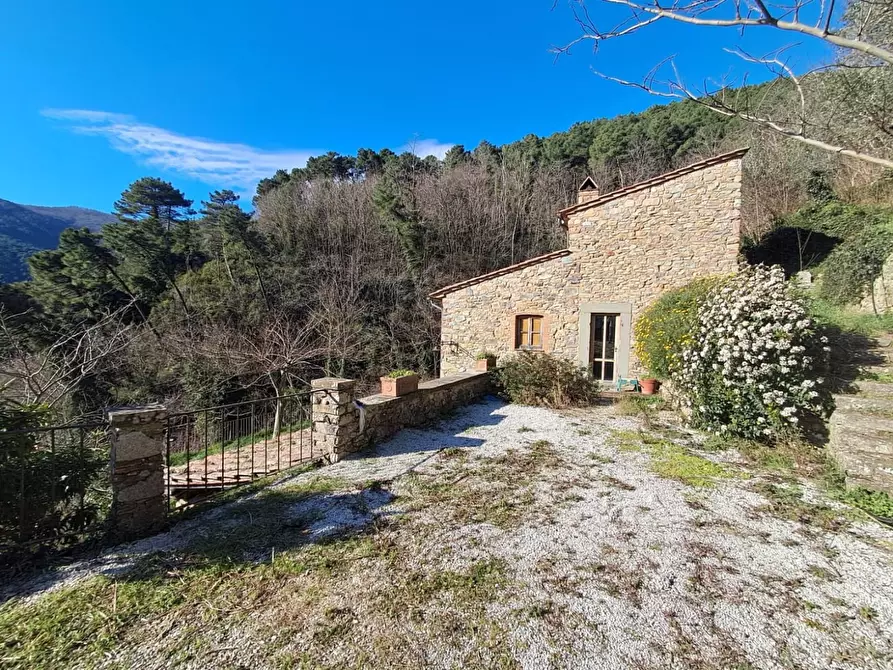 Immagine 30 di Rustico / casale in vendita  a Buti