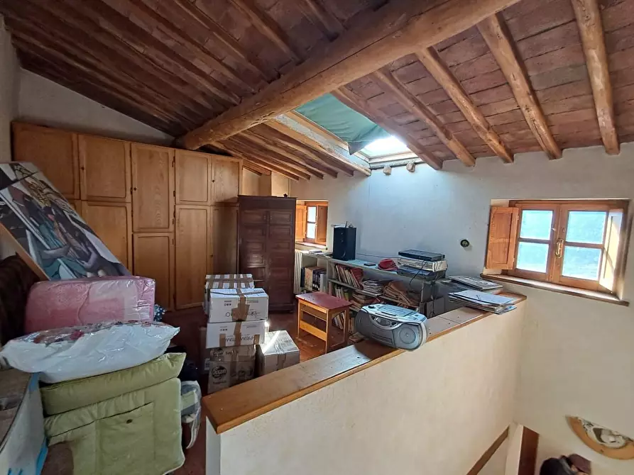 Immagine 23 di Rustico / casale in vendita  a Buti