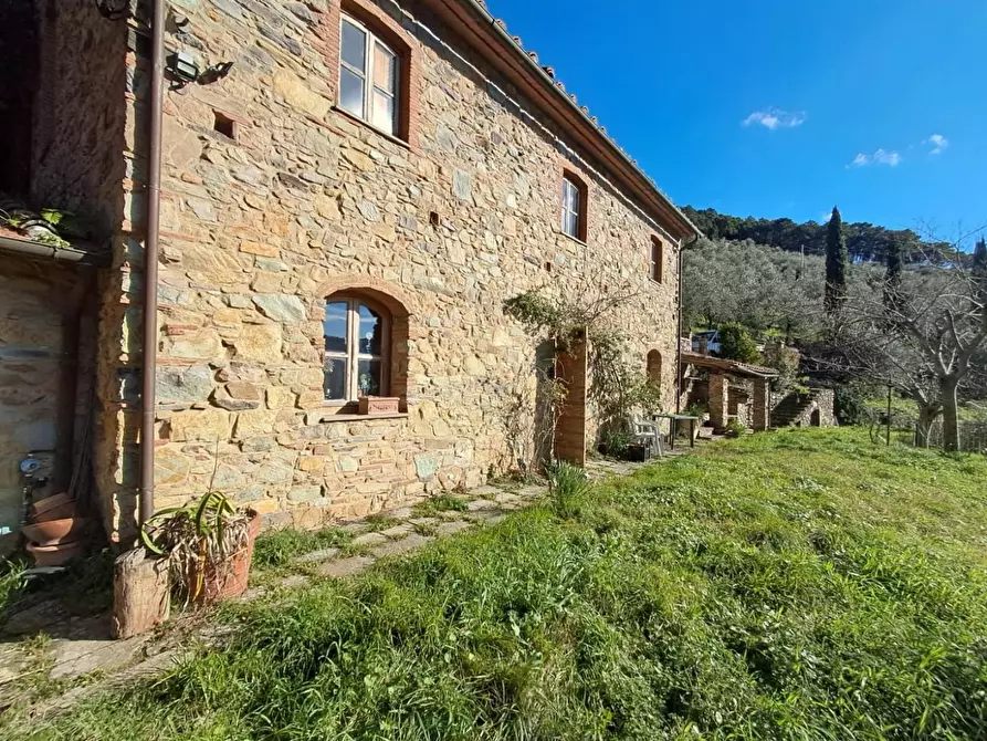 Immagine 2 di Rustico / casale in vendita  a Buti