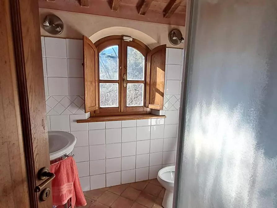 Immagine 14 di Rustico / casale in vendita  a Buti