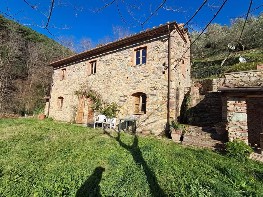 Immagine 1 di Rustico / casale in vendita  a Buti