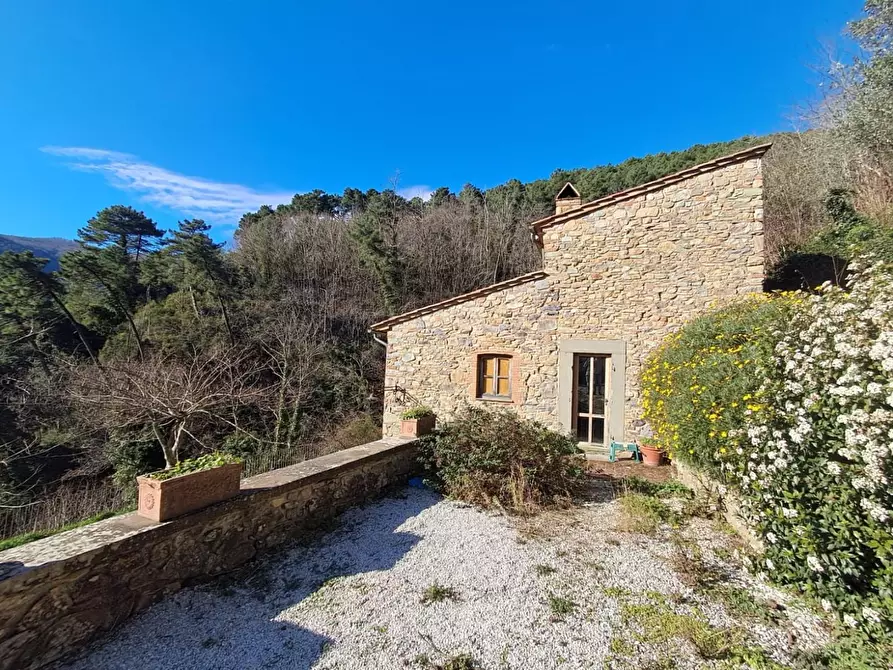 Immagine 29 di Rustico / casale in vendita  a Buti