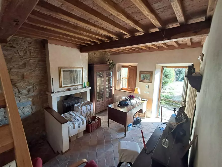 Immagine 16 di Rustico / casale in vendita  a Buti