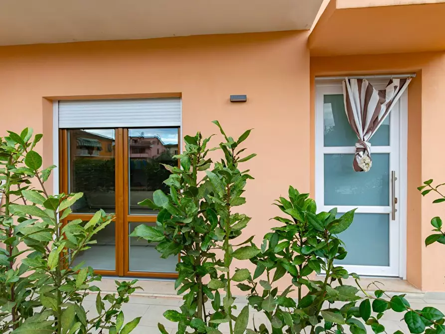 Immagine 31 di Appartamento in vendita  a Ponsacco