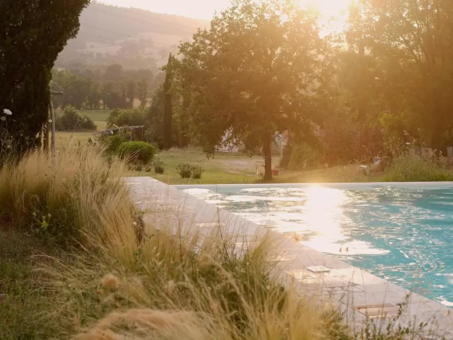 Immagine 25 di Rustico / casale in vendita  a Manciano