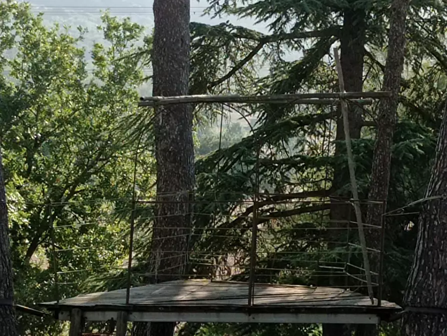 Immagine 20 di Rustico / casale in vendita  a Manciano